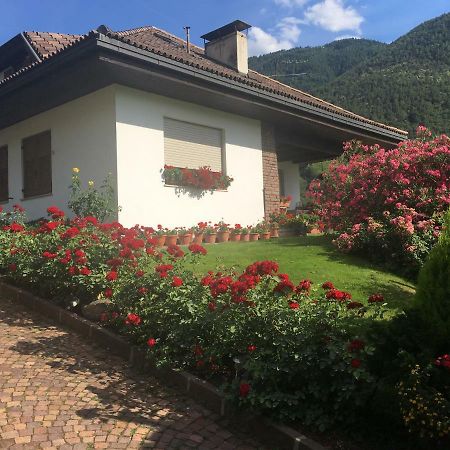 볼차노 Weingut Zundlhof 빌라 외부 사진