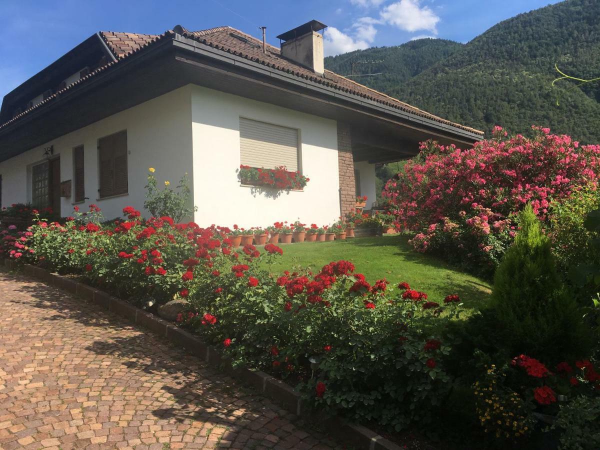 볼차노 Weingut Zundlhof 빌라 외부 사진